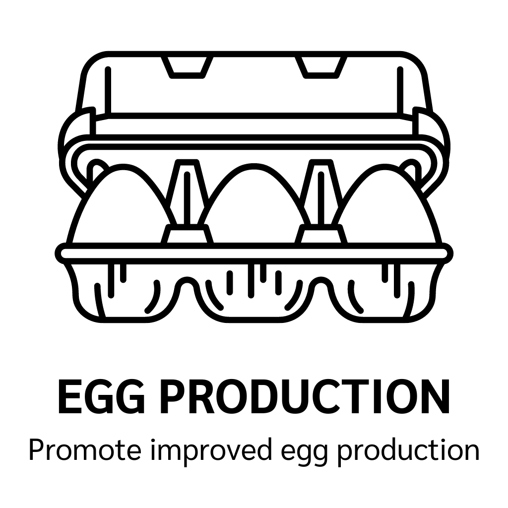 Cleaner Bedding – Dry, hygienic bedding improves comfort and encourages hens to spend more time in nesting boxes, which can support consistent egg laying. A cleaner, drier, and more comfortable environment contributes to optimal laying conditions and better-quality eggs. Minimising mites and other pests keeps hens healthier and prevents disruptions to laying routines. Fewer odours, pests, and damp conditions reduce stress for hens, which is directly linked to higher egg production.