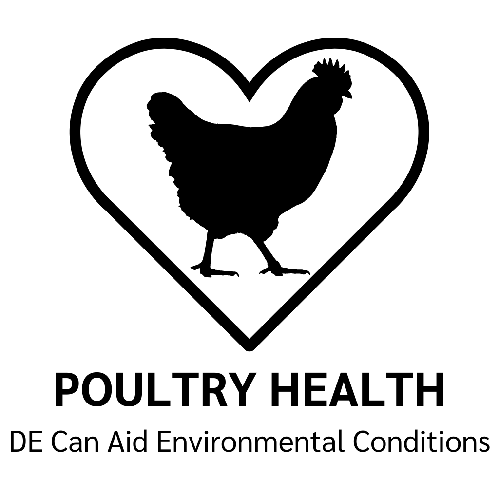 Application of ChickenKoop™ Refresh in chicken coop bedding to manage moisture, reduce ammonia, control odours, and improve hygiene for healthy poultry and egg production.