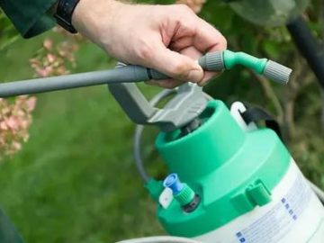 man holding pest control spray bottle in garden during the day
