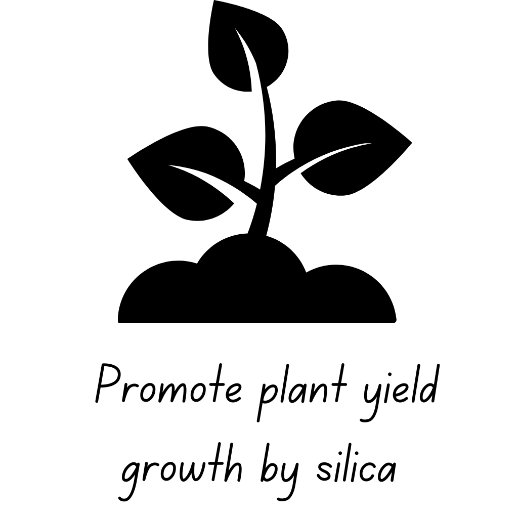 Symbol of plant in soil, text stating, promote plant yield growth by silica.