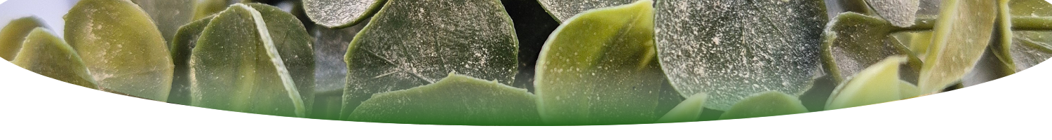 website banner of leaves with sprinkles of diatomaceous earth on it