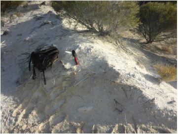 Domestic Australian diatomaceous earth (diatomite / DE) and imported DE, showing benefits of domestic DE for horticulture, agriculture, livestock feed, pot plants, pet litter, and low-spec industrial uses, emphasising cost-effectiveness, sustainability, and suitability for local applications. Australian diatomaceous earth (diatomite / DE) for low-spec industrial applications, spill absorption, and bulk soil conditioning. Locally sourced, unprocessed, and eco-friendly, this DE provides natural moisture control and pest management, offering a sustainable and cost-effective alternative to imported diatomaceous earth for industrial, horticulture, and agricultural industries.