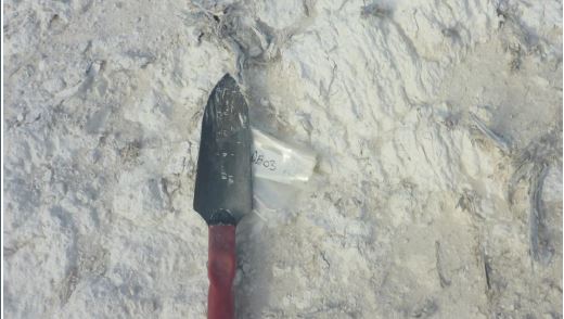 20,000 Badgingarra freshwater diatomaceous earth (diatomite / DE) stockpile in Western Australia, raw ore with natural amorphous silica and organic content, available for bulk supply to industrial, agricultural, and filtration applications.