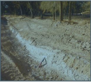 Natural pest control using diatomaceous earth in poultry bedding and crop fields, reducing chemical pesticide use