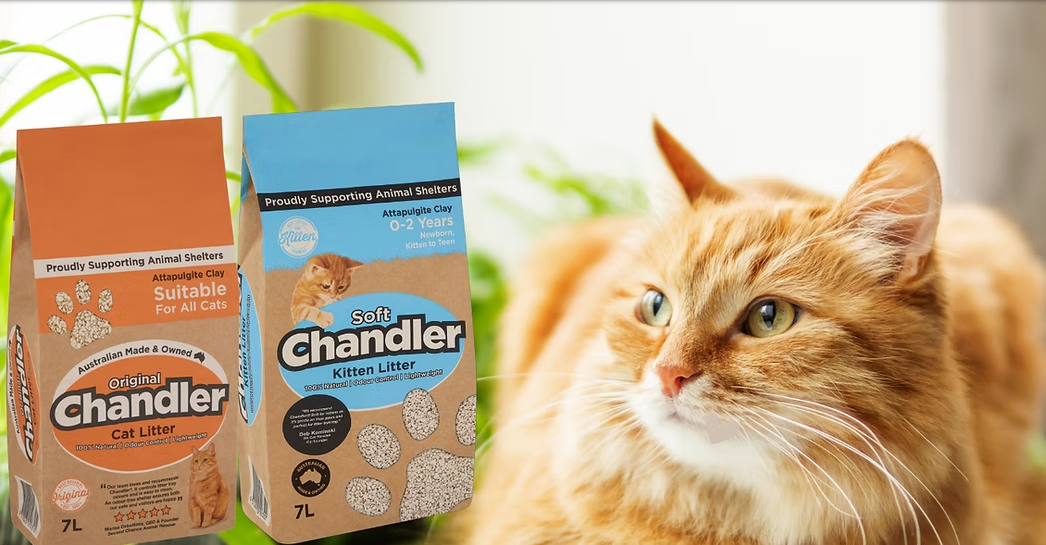 Supply Chandler cat litter in Singapore. Premium Australian cat litter, trusted nationwide. Perfect for retailers & cat owners.