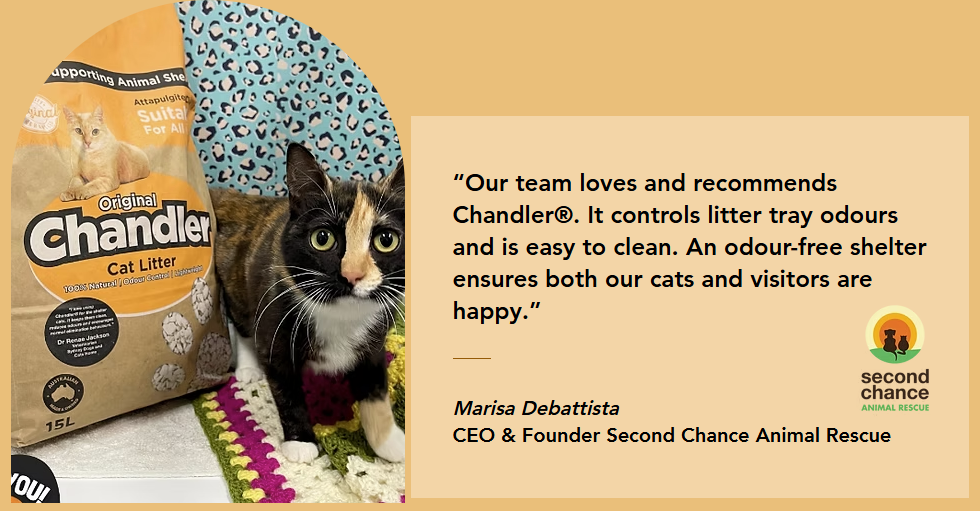 Chandler cat litter premium Australian quality bulk supply Singapore