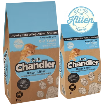 Attapulgite clay properties: natural, eco-friendly, odour-controlling, high-absorption cat litter for Singapore cat owners and retailers